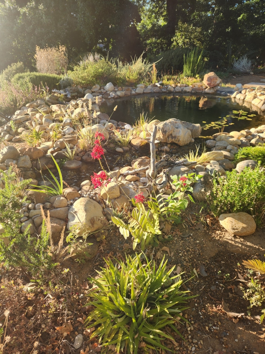 To Let 3 Bedroom Property for Rent in La Concorde Western Cape